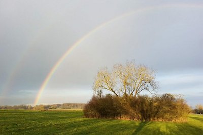 Ferienwohnung Uhlberg45 Vogelnest