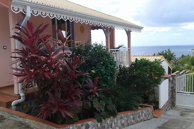 Paradijoce