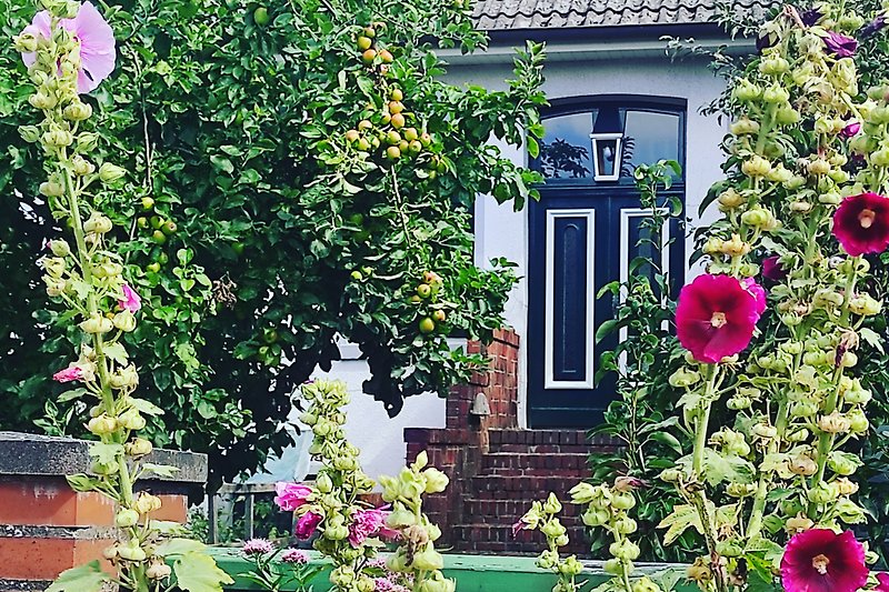 Schöner Garten mit blühenden Rosen und einem charmanten Haus.