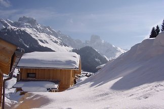 Alpendorf Dachstein West 14
