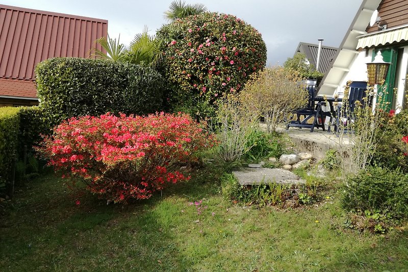 Schöner Garten mit Blumen, Pflanzen und einem gemütlichen Sitzplatz.