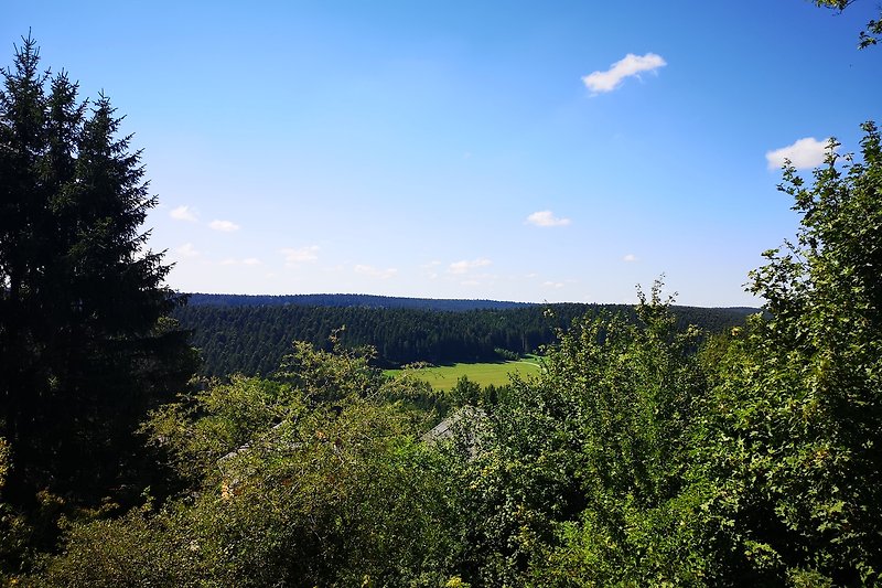 Ausblick von der Terrasse in die schöne Landschaft mit grünen Wiesen, Wald und Hügeln.