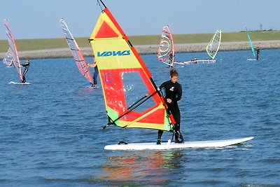 Lüttje Strandflieder