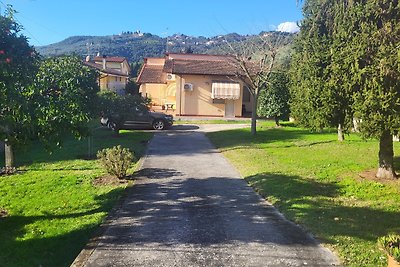 The House of Citrus - amazing country house near Lucca and Pisa