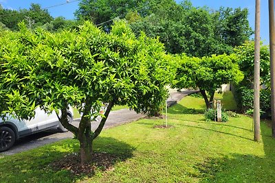 The House of Citrus - amazing country house near Lucca and Pisa