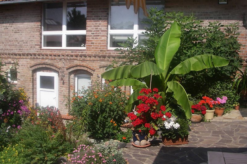 Ein charmantes Haus mit blühenden Pflanzen und einem gepflegten Garten.