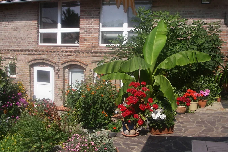 Een charmant huis met bloeiende planten en een goed onderhouden tuin.