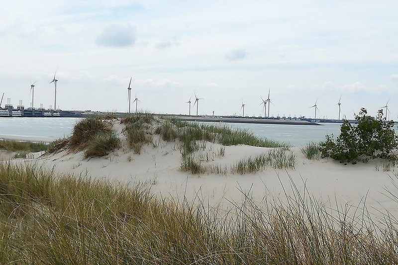 Strand bei Neeltje Jans an der Oosterschelde