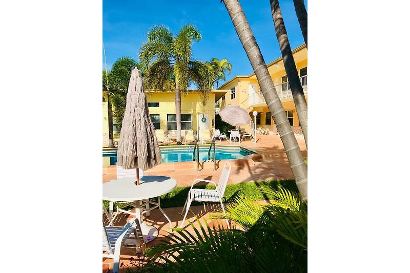 Ferienhaus mit Pool, Palmen und Sonnenliegen die zum Verweilen am Pool einladen.