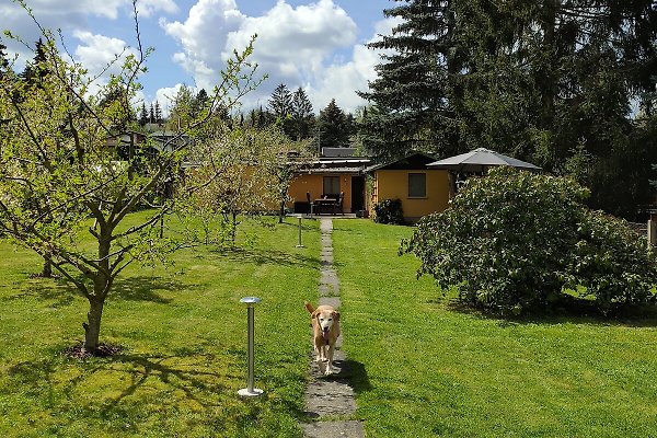 Ferienhaus Weimar