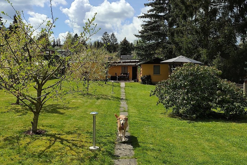 Ferienhaus mit großem Garten, Hunde wilkommen