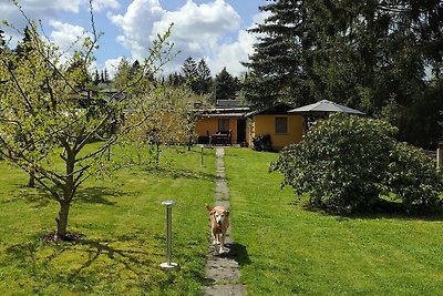 Ferienhaus Kunst und Garten