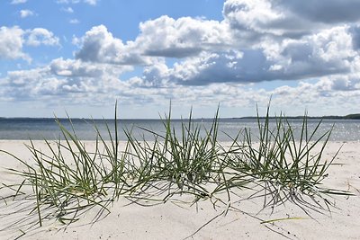 Holnis Strandzeit