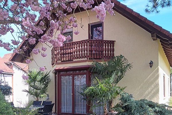 Ferienhaus Amt Creuzburg