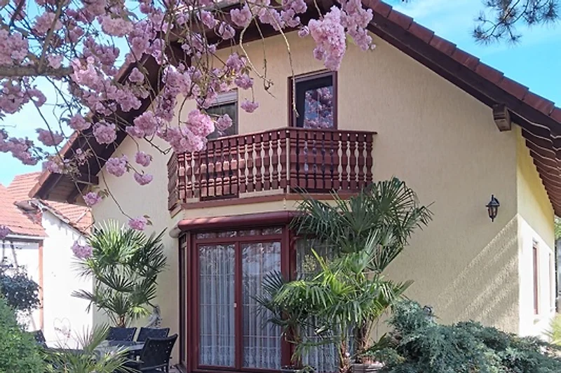 Terrasse mit Palmen, und Balkon