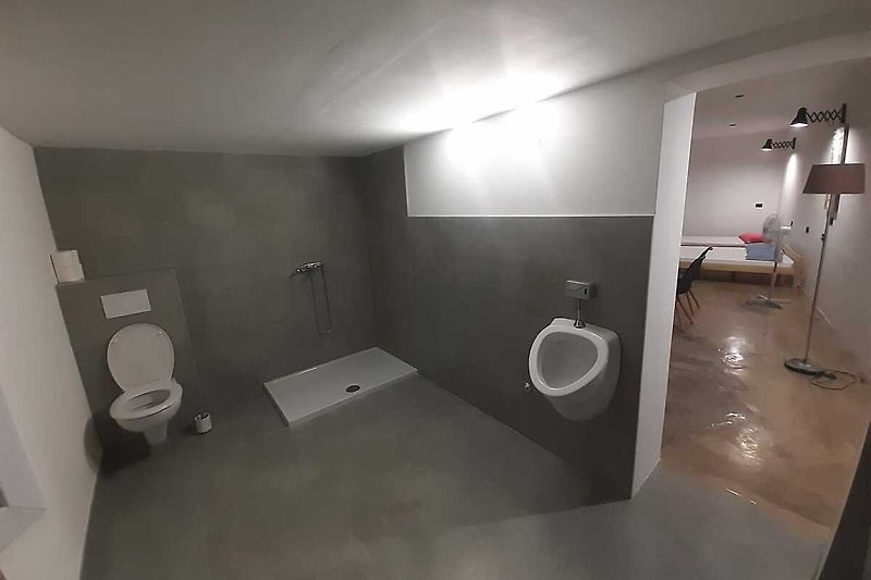 Badezimmer mit modernen Armaturen und Fliesen. WC, Dusche, Urinal, Waschbecken