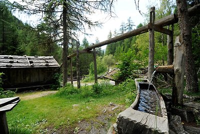 Urlaub auf dem Bauernhof Hinterprosl