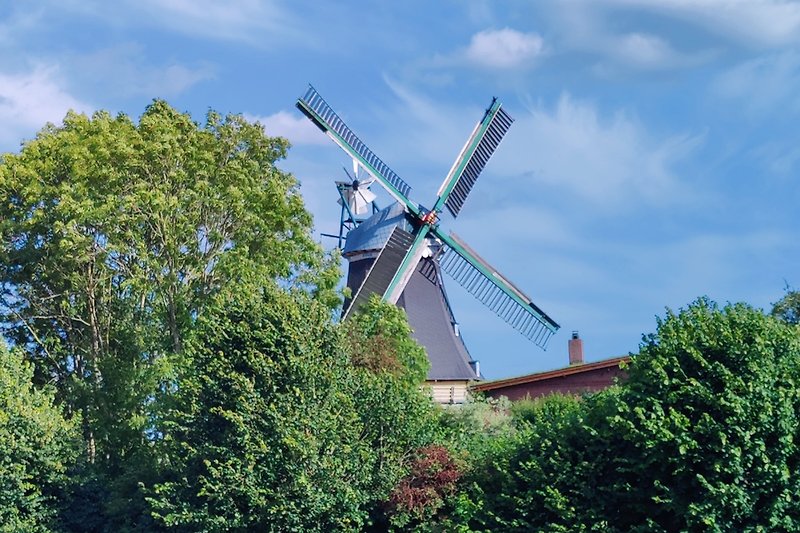 Windmühle in idyllischer Nachbarschaft.