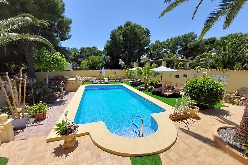 Schwimmbad, Palmen, Sonnenliegen - Entspannung am Pool! ??‍♂️