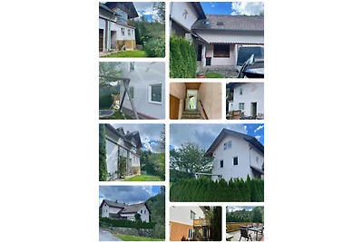 Haus Leiner