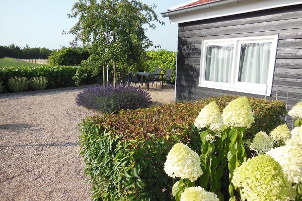 Ferienwohnung Aagtekerke