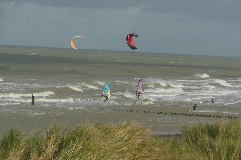 Wassersport am Strand Domburg mit Kitesurfen