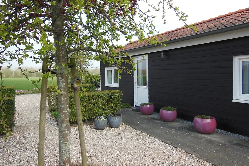 Freistehendes Haus mit gepflegtem Garten.