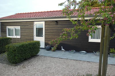 Schelphoekje