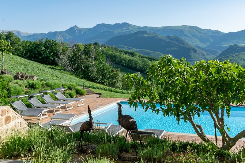Tranquil swimming pool surrounded by mountains, trees, and wildlife.