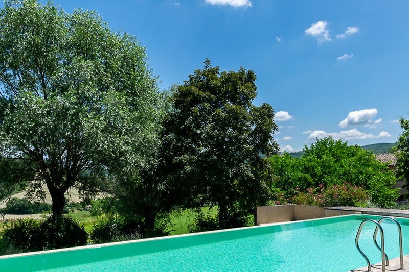 Tranquil pool surrounded by lush greenery and clear skies.