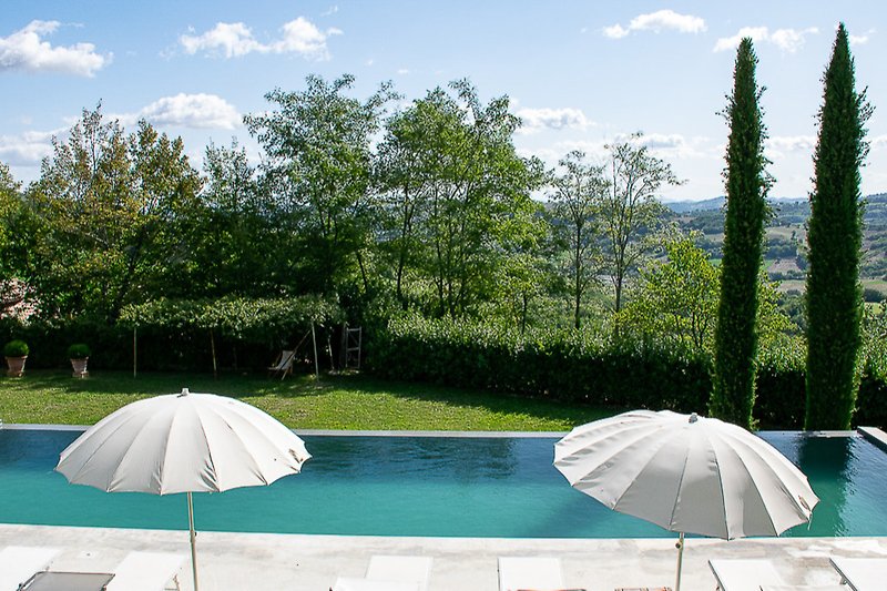 Tranquil poolside paradise with lush greenery and azure skies.