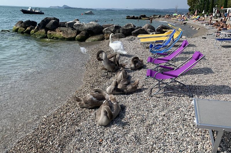 Strand in Toscolano-Maderno. Erfrischung am See!