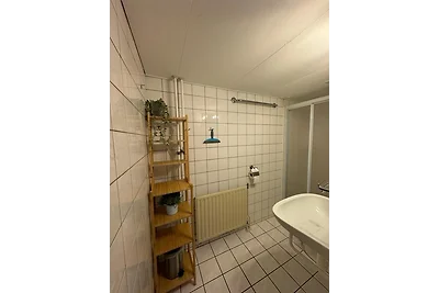 Fajee Dichtbij Zee