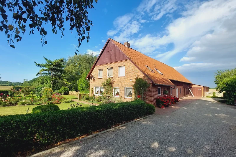 Boerderij met oprit