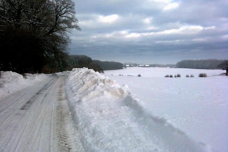 14a.Schneelandschaft nach Dobersdorf