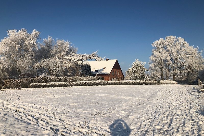 13a.Winter in Dobersdorf
