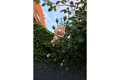 Helga