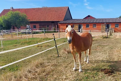 Helga