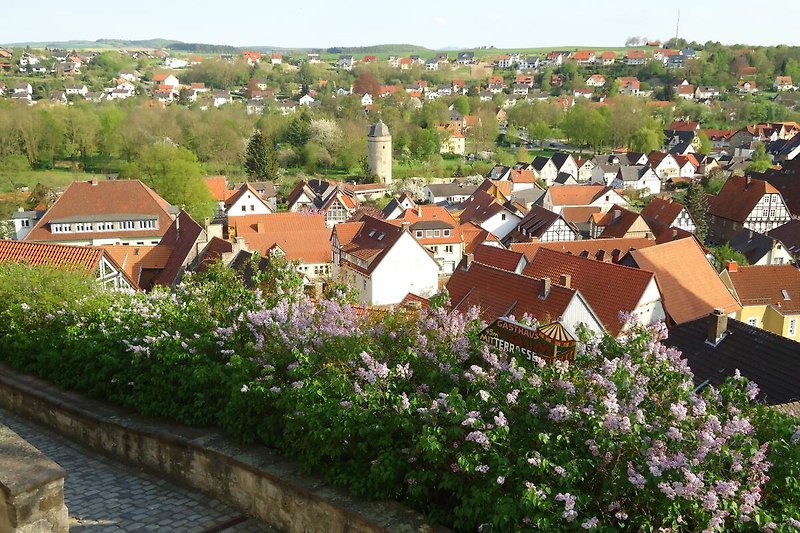 Blick auf die Altstadt in Warburg.