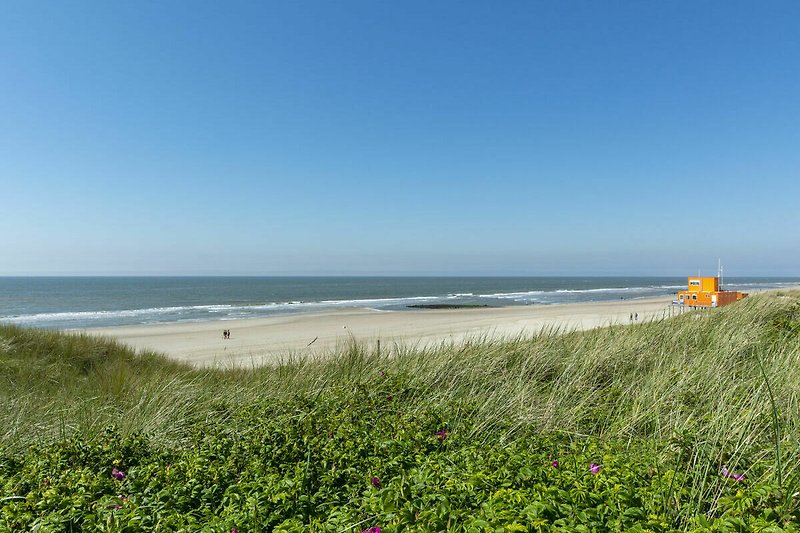 Serene coastal landscape with lush greenery and sandy beach.