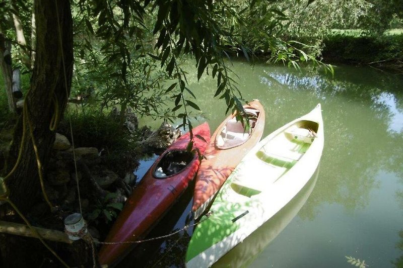 Boot auf ruhigem See mit grüner Uferlandschaft.