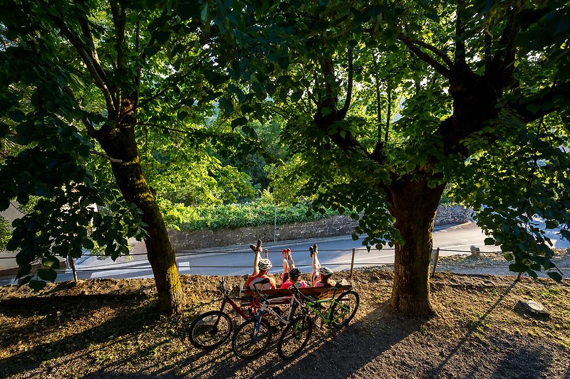 Fahrräder im Herbstwald: Natur, Freizeit, Radfahren.