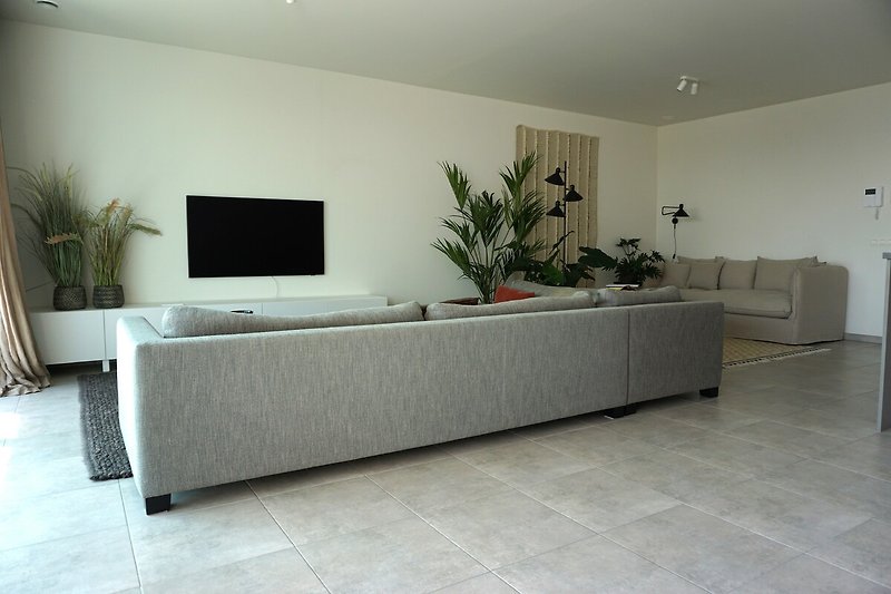 Stilvolles Wohnzimmer mit Fernseher und Pflanze.