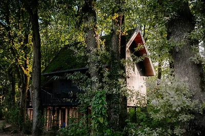 Natur Villa mit Hottub & Sauna | 4 Personen