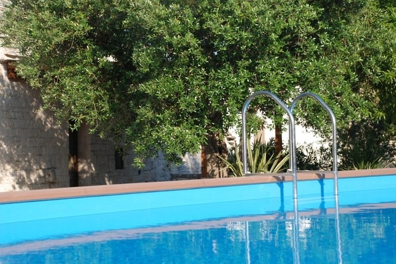 Schwimmbad mit grüner Landschaft und Outdoor-Möbeln.