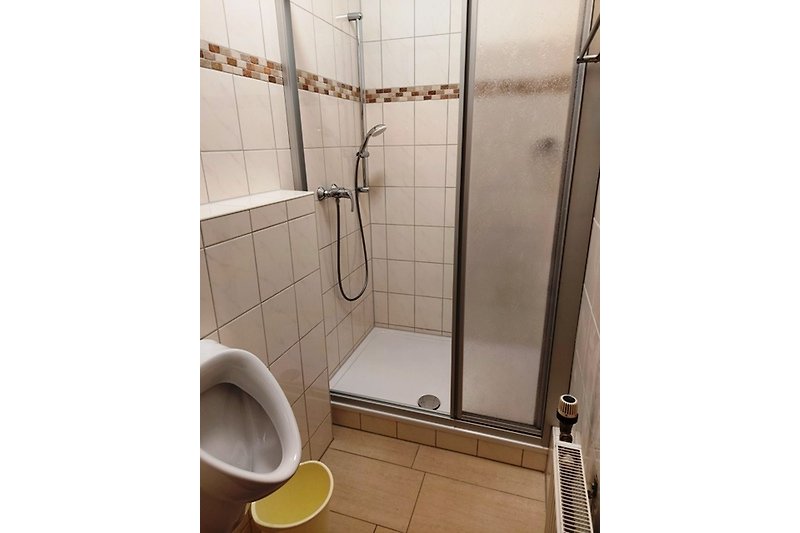 Modernes Badezimmer mit Dusche, Toilette