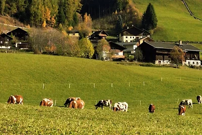 Ferienhaus Mildner Heiligenblut