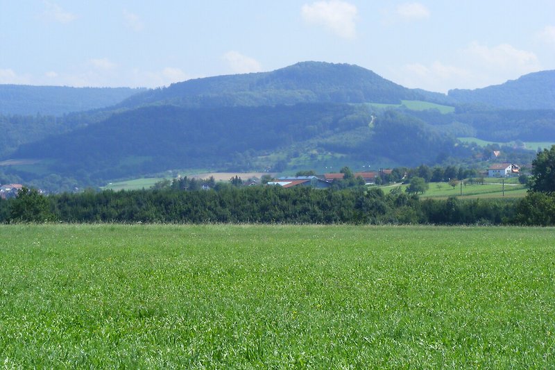 Felder mit Blick auf die Kaiserberge 1 Minute Gehweg von unserem Haus entfernt