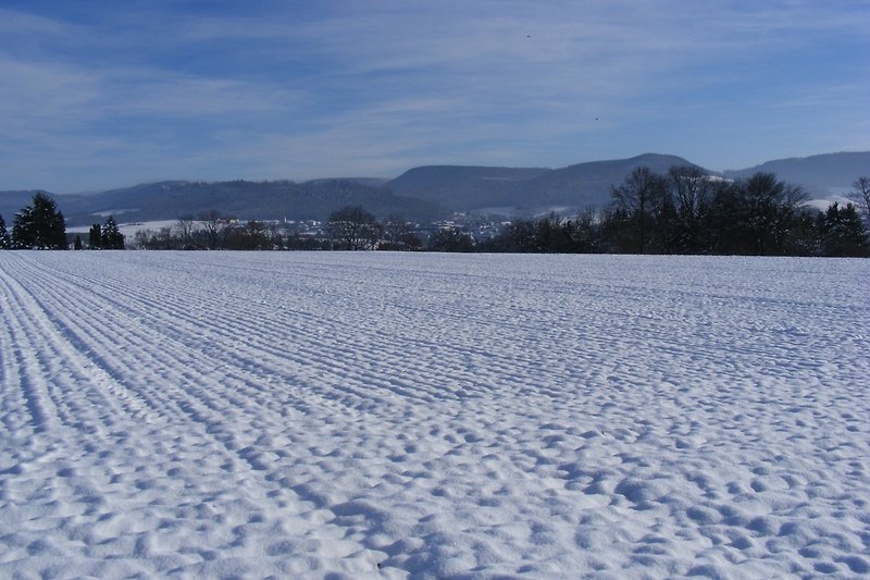 Felder im Winter circa eine Gehminute vom Haus entfernt