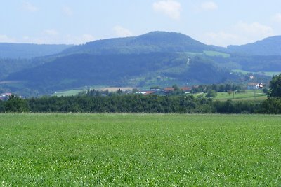 Ferienwohnung Bauchert-Burget